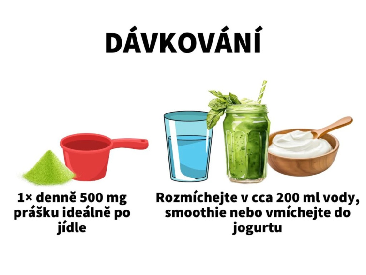 Máta peprná - Extrakt z listů 10:1 v prášku
