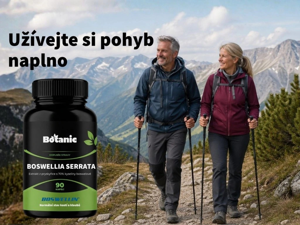 Boswellia serrata - Extrakt zo živice so 70% kyseliny boswelovej (Boswellin®️ HBD Sabinsa) v kapsuliach