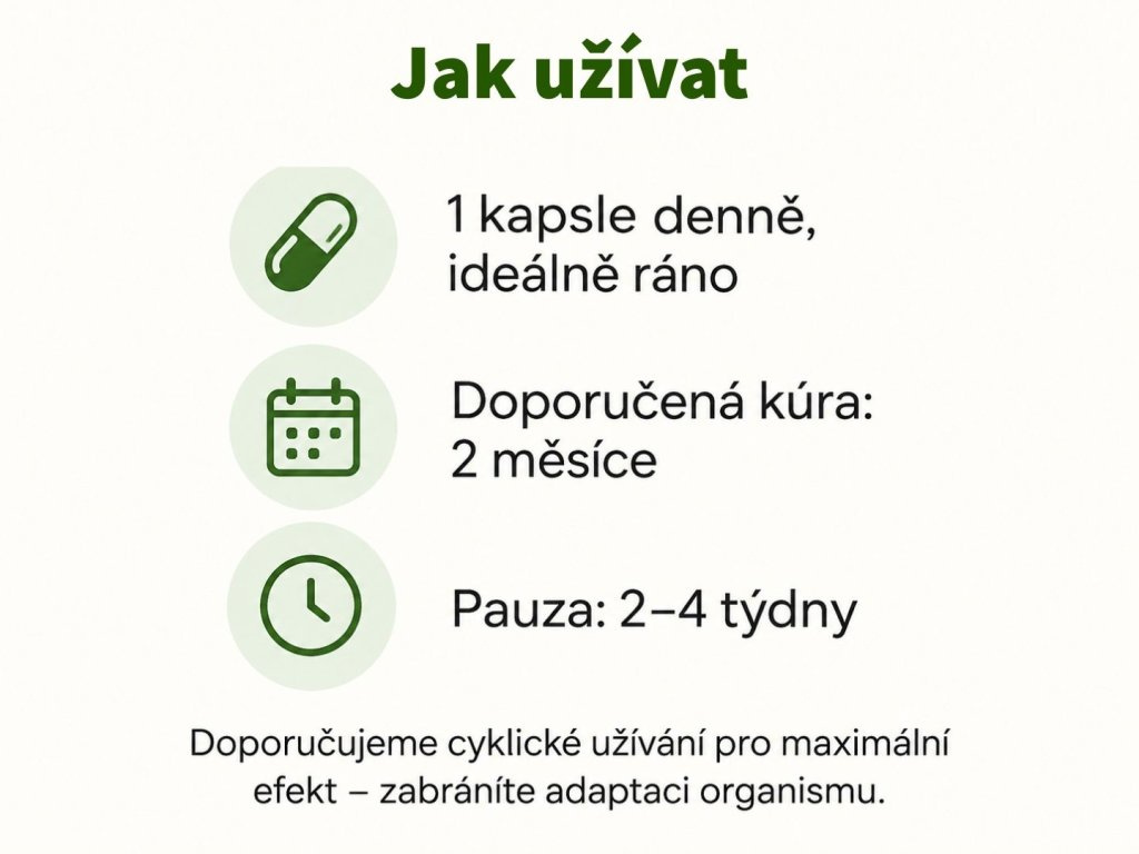 Shilajit - 80 % kyseliny fulvové v kapslích 90 kap.