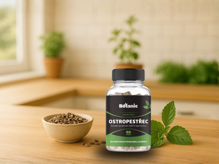 Ostropestřec - Extrakt ze semen s 80 % silymarinu kapsle