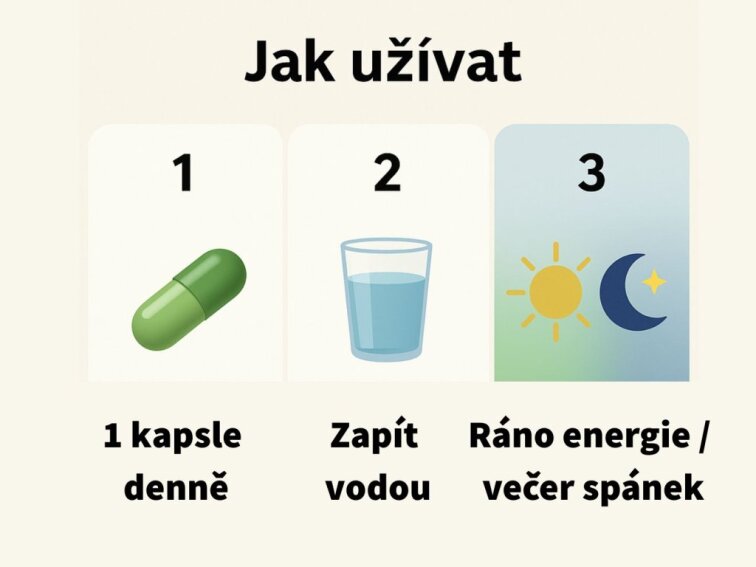 Ašvaganda - Kapsle extrakt 2,5% withanolidů