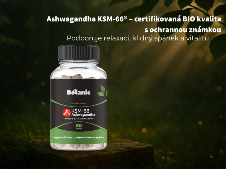 Ašvaganda KSM—66® - kapsle
