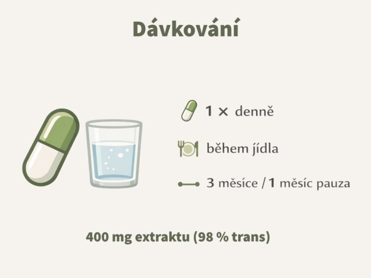 Resveratrol – Trans-resveratrol 98 %