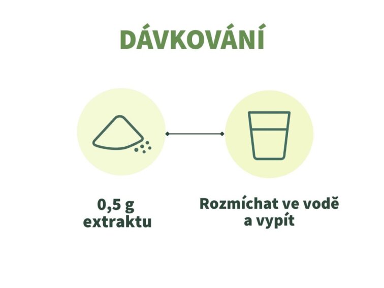 Ostropestřec - Extrakt ze semen s 80 % silymarinu v prášku