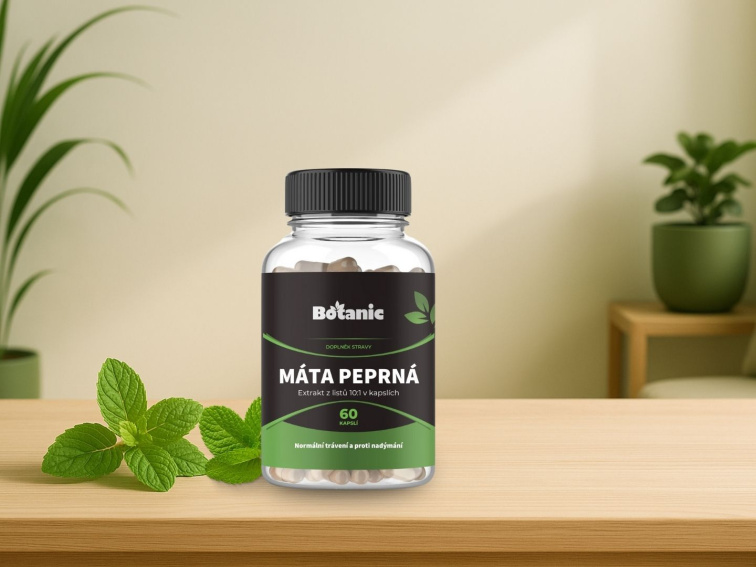 Máta peprná - Extrakt z listů 10:1 v kapslích