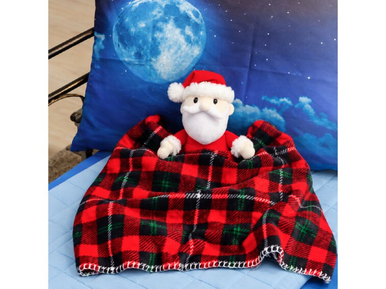 Deka Lapland 75x90 dárkové balení s plyšovým Santou