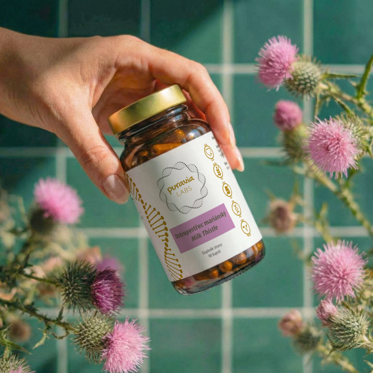 Pestrec mariánsky - podpora funkcie pečene, 90 kapsúl