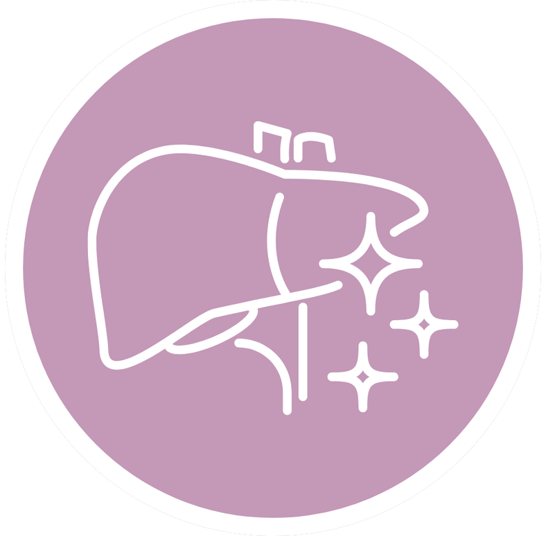 Pestrec mariánsky - podpora funkcie pečene, 90 kapsúl