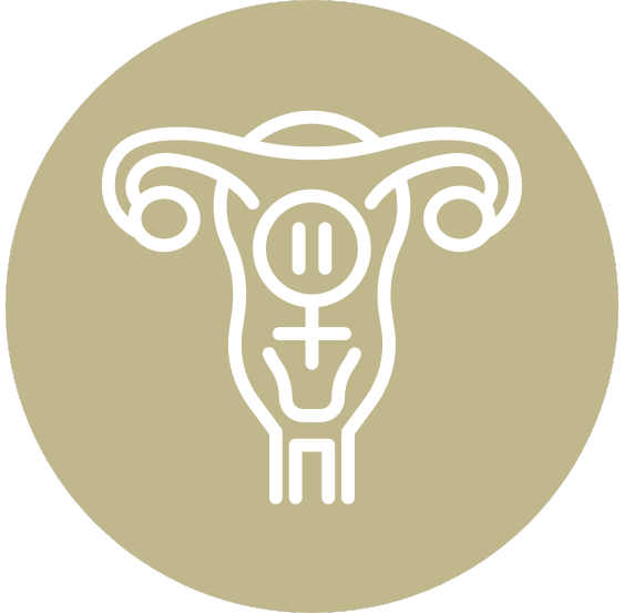 Drmek obyčajný, 90 kapsúl