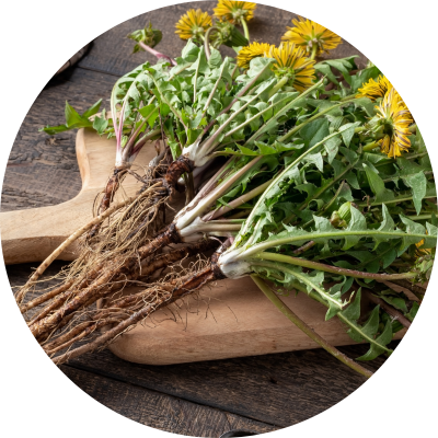 Podpora chudnutia + balíček detoxikácie tela