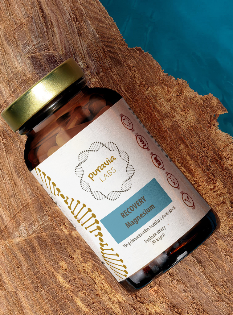 Magnézium Recovery - horčík bisglycinát, 90 kapsúl