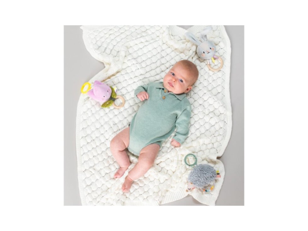 Taf Toys Ježko Spike