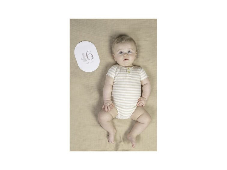 Little Dutch Karty s vekom Baby Bunny