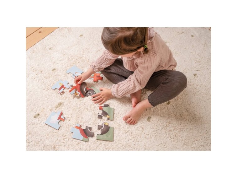 Little Dutch Puzzle 4v1