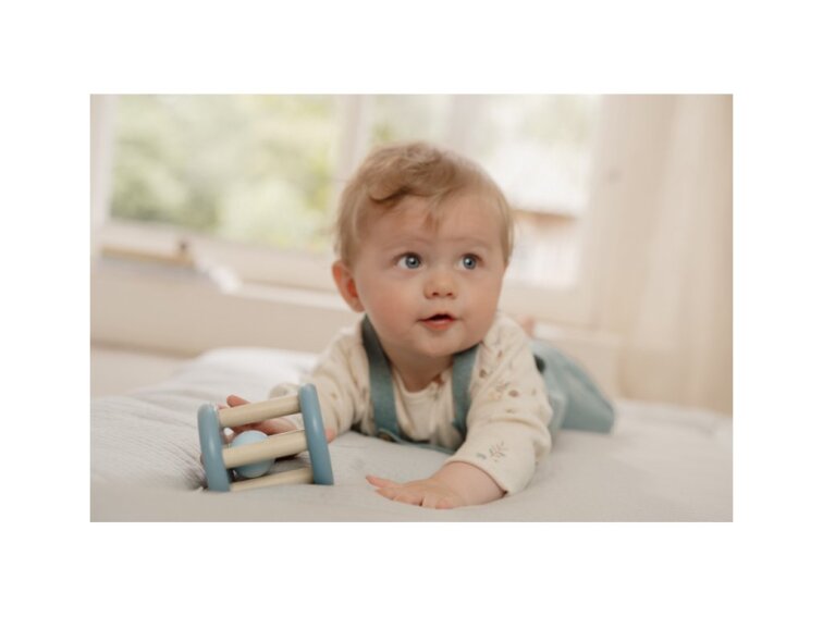 Little Dutch Gulička v klietke