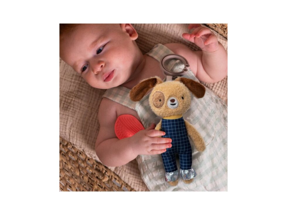 Taf Toys Psík Daniel