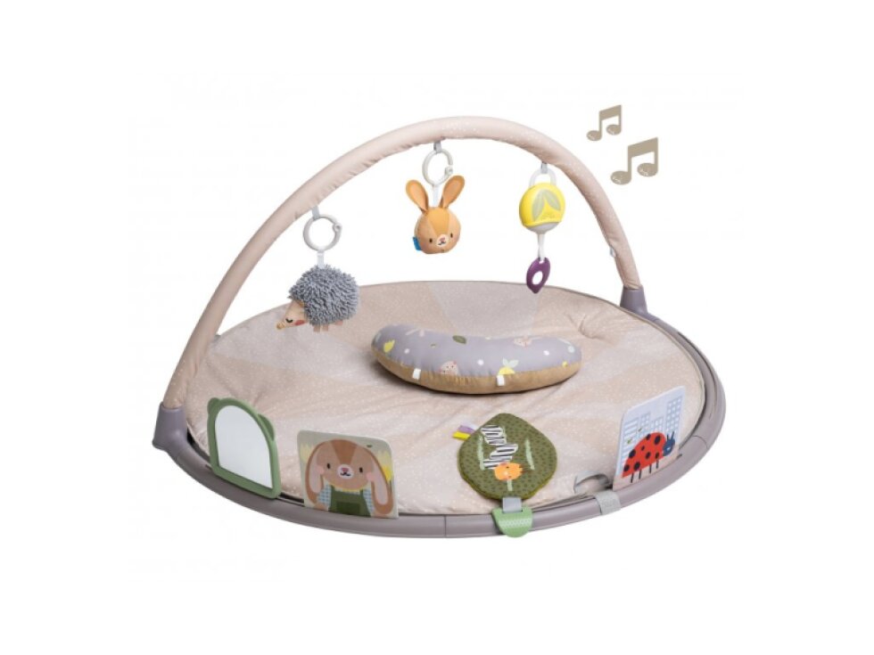 Taf Toys Hracia deka s hrazdou pre hru na brušku