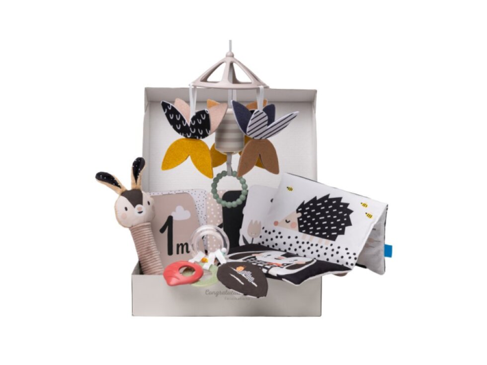 Taf Toys Sada hračiek Black&White Kit