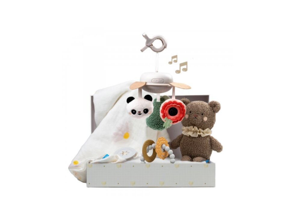 Taf Toys Sada hračiek Newborn Luxe