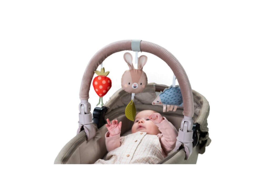 Taf Toys Hudobná hrazda Bunny