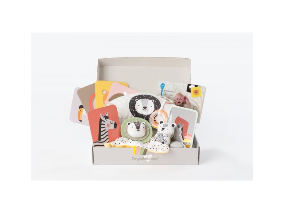 Taf Toys Súprava hračiek Hello Baby