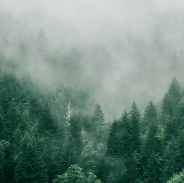 SO EARTHY - přírodní parfém