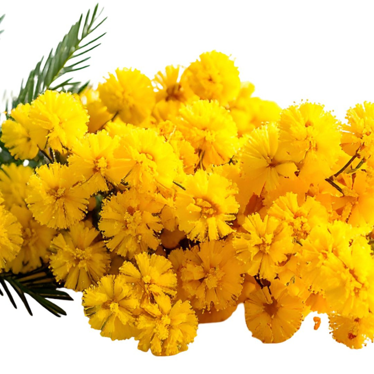 INTIMITY ME - přírodní parfém