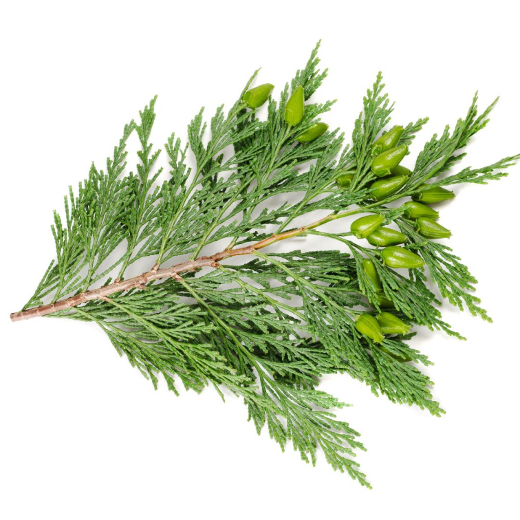 BREATHE IN - Čisticí pleťový gel