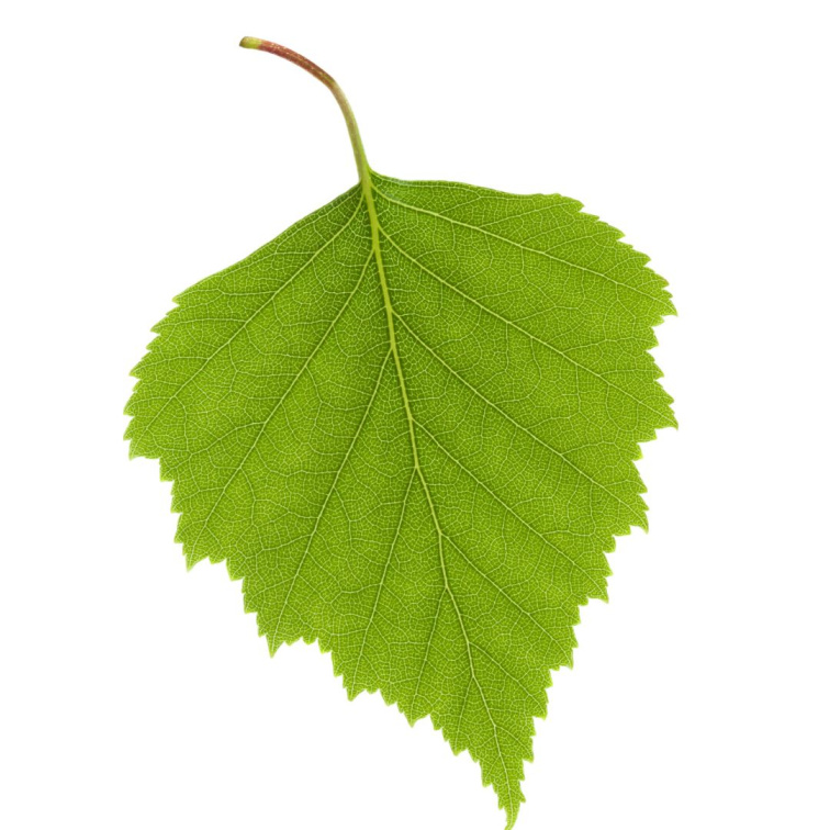 BREATHE IN - Čisticí pleťový gel