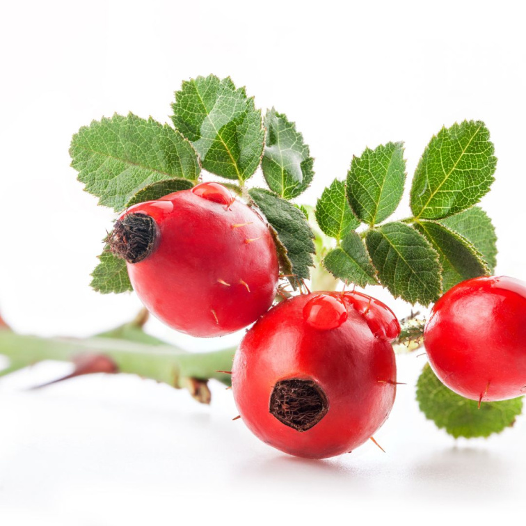 SKIN ELIXIR - omlazující a pečující pleťový olej