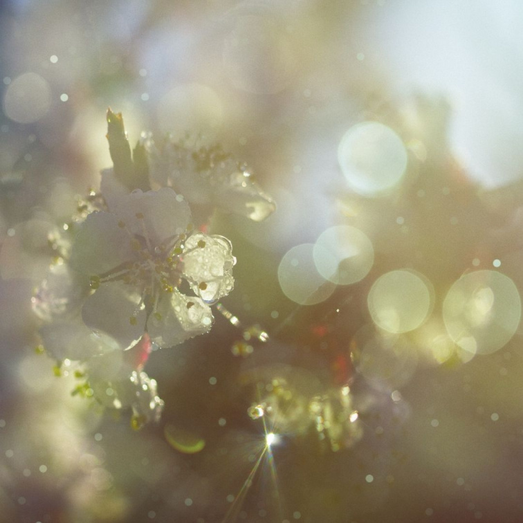 Proč je jaro vhodná doba na detox?