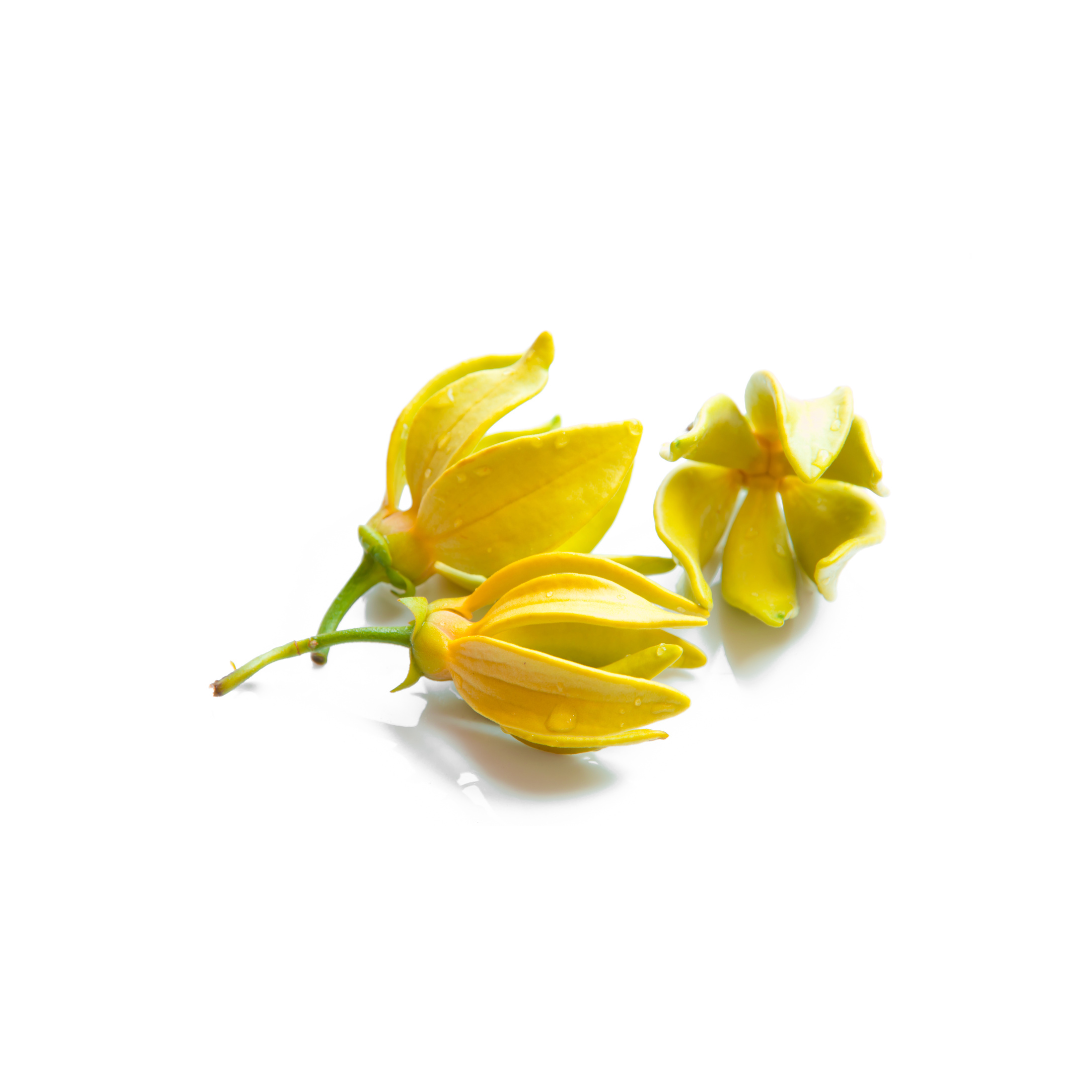 FEMME 01 - přírodní parfém