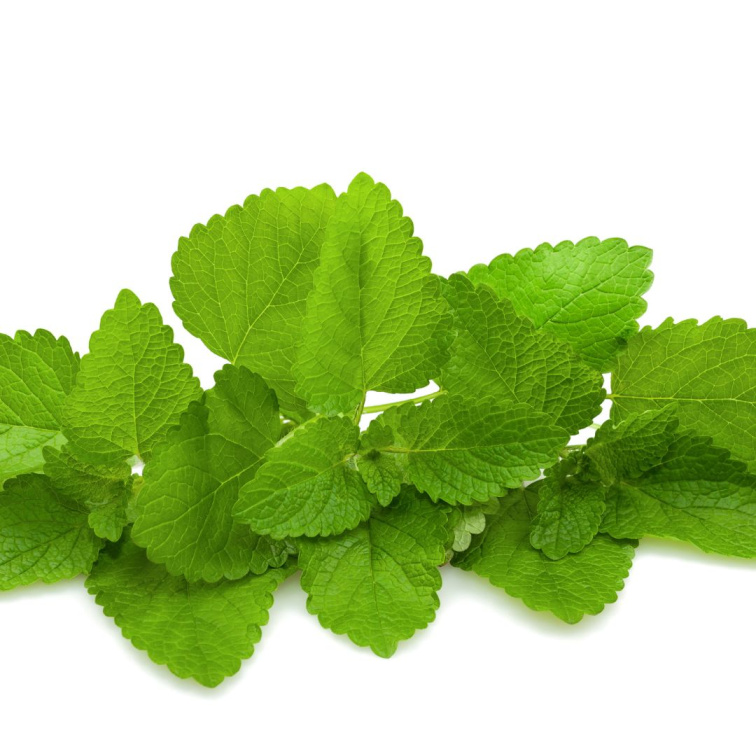 Zen - Sérum s bakuchiolem