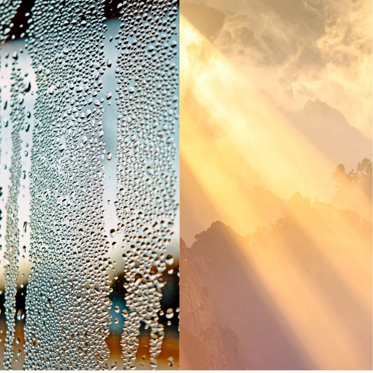 Proč je jaro vhodná doba na detox?