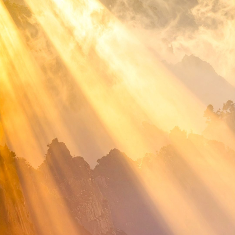 Proč je jaro vhodná doba na detox?