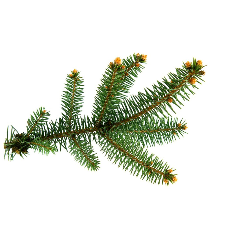 INTIMITY ME - přírodní parfém