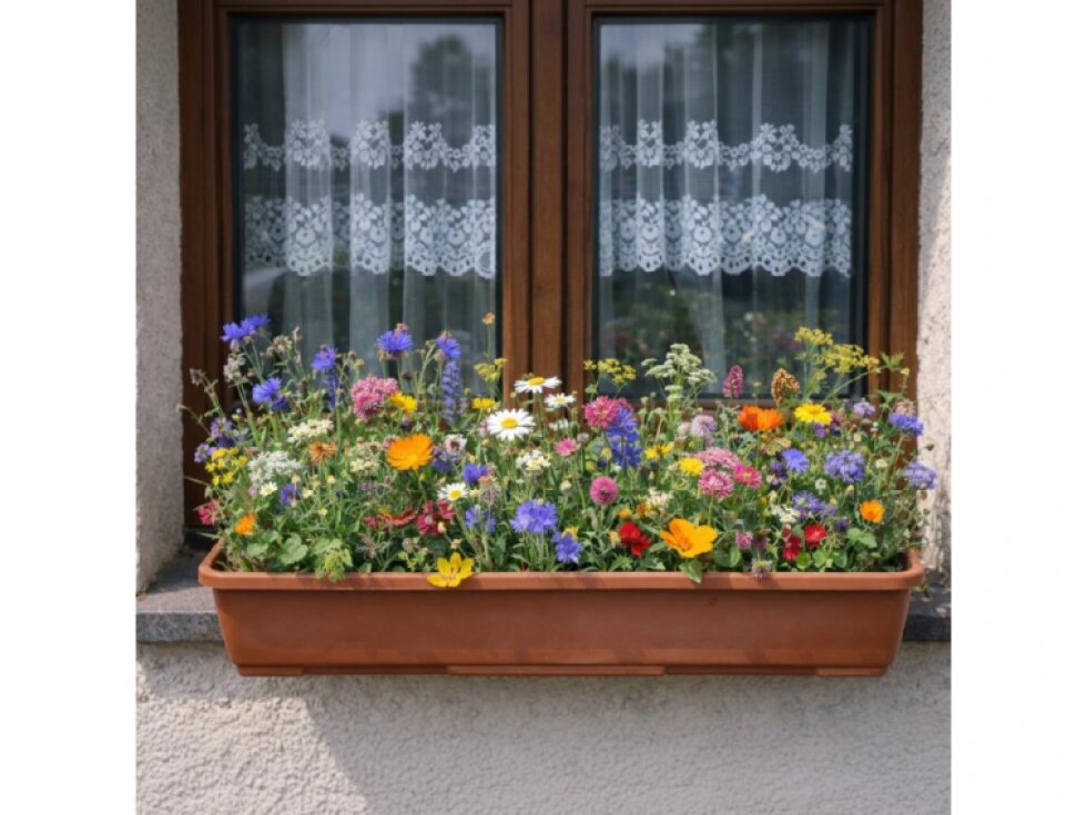 KVĚTINOVÉ BOMBY - AKČNÍ BALÍČEK 5 KUSŮ