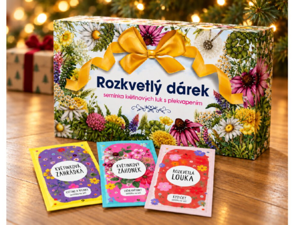 ROZKVETLÝ DÁREK - SEMÍNKA KVĚTINOVÝCH LUK