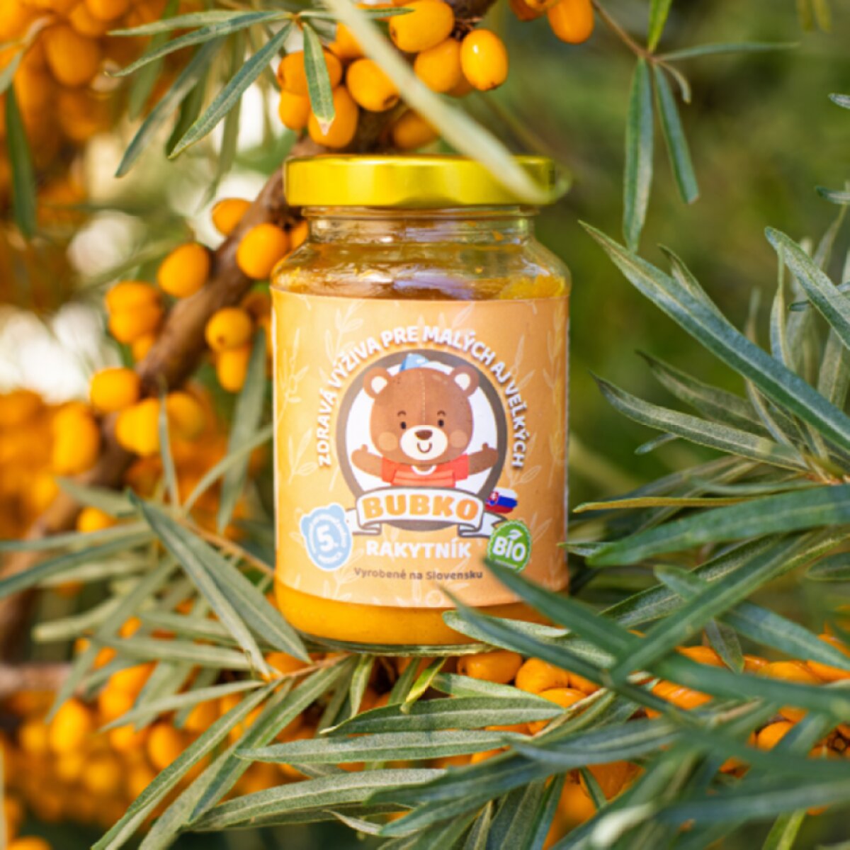 BIO detská výživa Rakytník Bubko 200 g