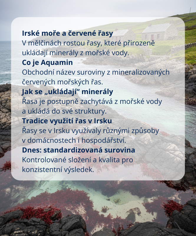 IQ Mag organic TRIMAG s mořským hořčíkem. 90 tob.