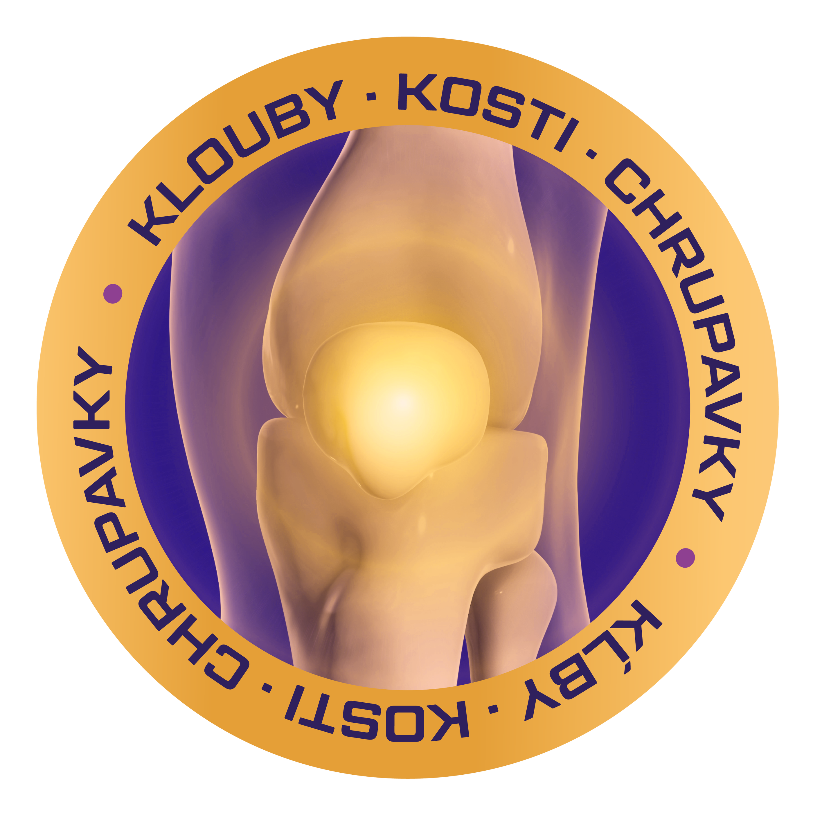 OsteoArthrix Inovativní kloubní výživa 60 tob.