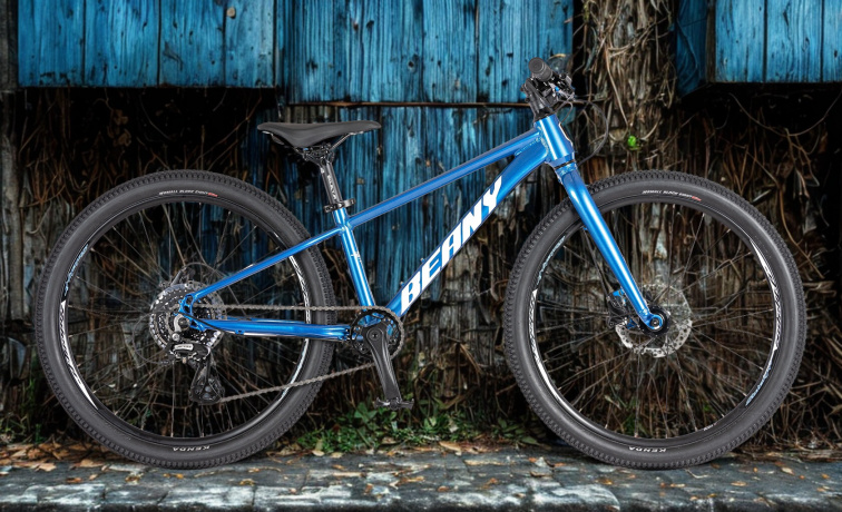 Lehké dětské kolo BEANY BLASTER XC 24 modrá