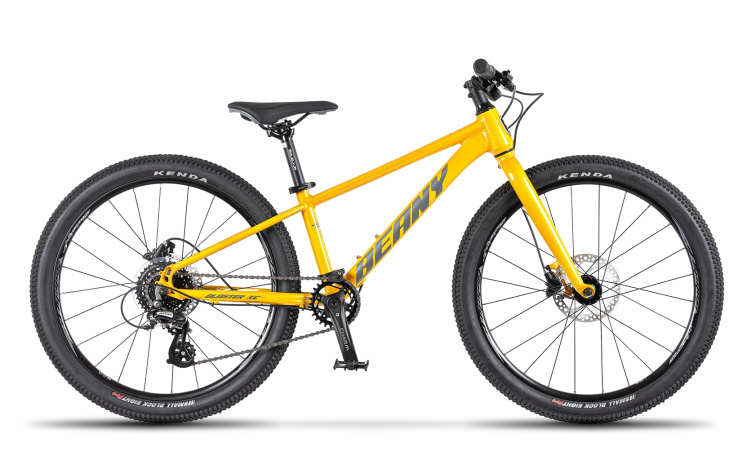 Lehké dětské kolo BEANY BLASTER XC 24 gold