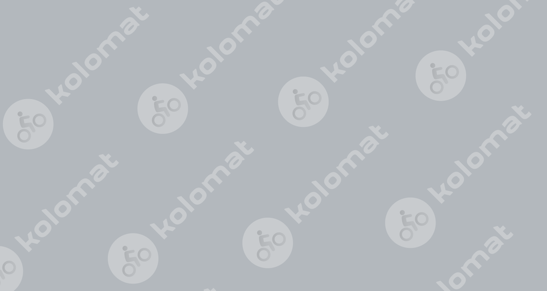 BULLS E-Stream EVO AM2 29" 925Wh, Pistacio Black, motor Brose, vel. "L"