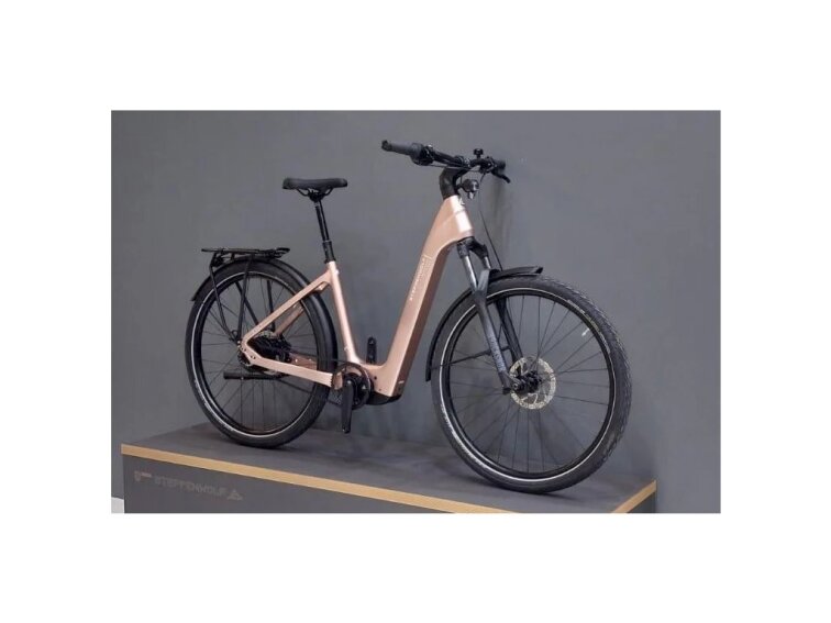 STEPPENWOLF Transterra Easy 9.0 DJI Avinox, 800Wh, champagne gloss, elektrokola s nízkým nástupem