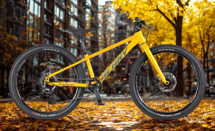 Lehké dětské kolo BEANY BLASTER XC 24 gold