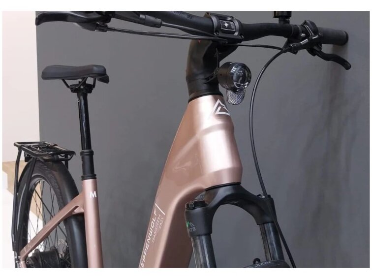 STEPPENWOLF Transterra Easy 9.0 DJI Avinox, 800Wh, champagne gloss, elektrokola s nízkým nástupem