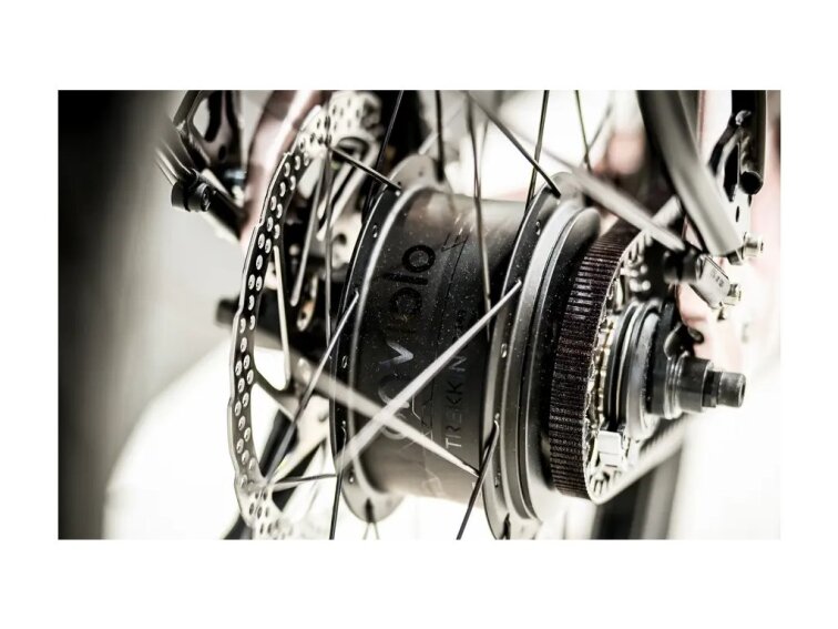 STEPPENWOLF Transterra Easy 9.0 DJI Avinox, 800Wh, champagne gloss, elektrokola s nízkým nástupem