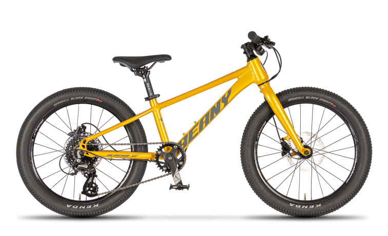 Lehké dětské kolo BEANY BLASTER XC 20 gold