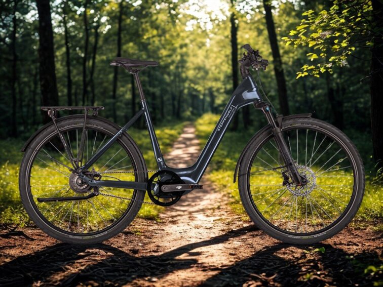 STEPPENWOLF Transterra Easy 9.0 DJI Avinox 800 Wh atlas blue gloss, elektrokolo s nízkým nástupem